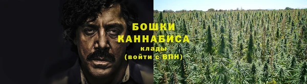 дмт Дмитров