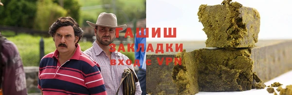 дмт Дмитров