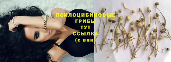 ешки Семикаракорск