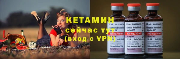 дмт Дмитров