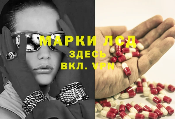 дмт Дмитров