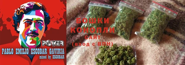 соль ск Дмитровск