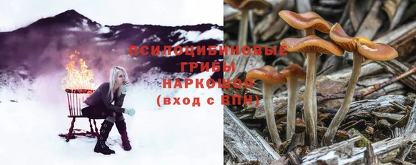 дмт Дмитров